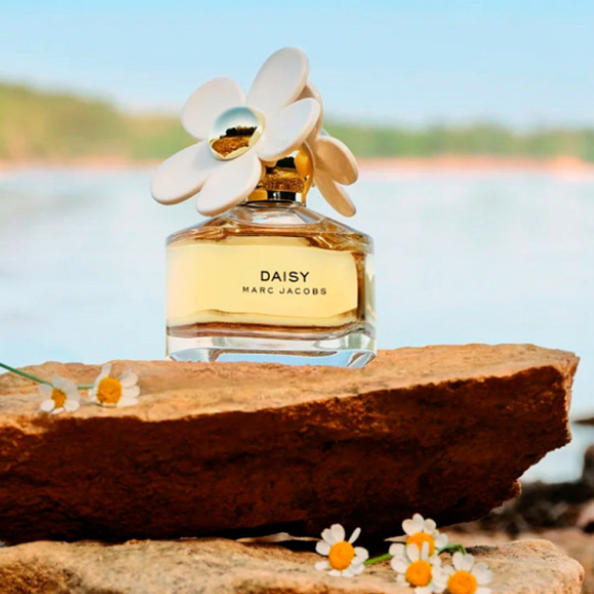 Marc Jacobs Daisy Womens EDT Spray 3.4oz/100ml