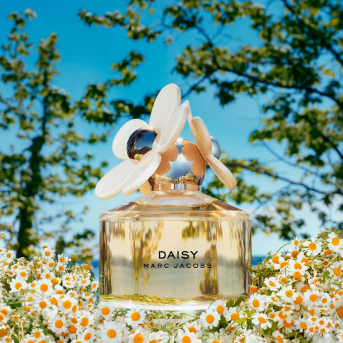 Marc Jacobs Daisy Womens EDT Spray 3.4oz/100ml